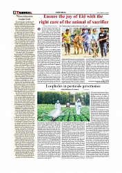 Editorial