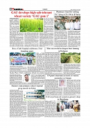 Daily Tribunal E-paper 03-07-2025_page-0006