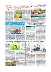 Daily Tribunal E-paper 12-07-2025_page-0007