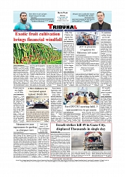 Daily Tribunal E-paper 15-09-2025_page-0012