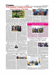 Daily Tribunal E-paper 25-01-2026_page-0006