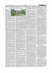 Daily Tribunal E-paper 01-08-2026._page-0011
