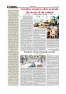 Editorial