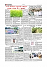 Daily Tribunal E-paper 03-07-2025_page-0006