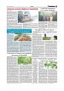 Daily Tribunal E-paper 05-07-2025_page-0007