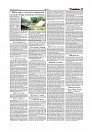 Tribunal 26.07.2025_page-0011