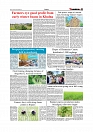 Daily Tribunal E-paper 06-09-2025_page-0007