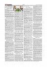 Daily Tribunal E-paper 20-09-2025_page-0002
