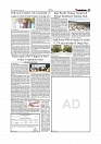 Daily Tribunal E-paper 24-09-2025_page-0005