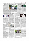 Daily Tribunal E-paper 11-10-2025_page-0005