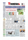 Daily Tribunal E-paper 26-10-2025_page-0001