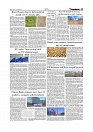 Daily Tribunal E-paper 01-11-2025_page-0005