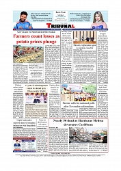 Daily Tribunal E-paper 01-11-2025_page-0012