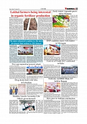 Daily Tribunal E-paper 07-11-2025_page-0007