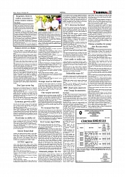 Daily Tribunal E-paper 11-11-2025_page-0011