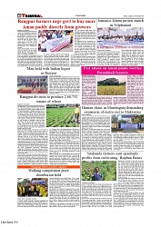Daily Tribunal E-paper 15-11-2025_page-0006