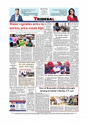 Daily Tribunal E-paper 15-11-2025_page-0012