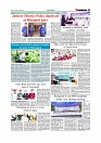 Daily Tribunal E-paper 19-11-2025_page-0007