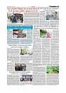 Daily Tribunal E-paper 28-01-2026_page-0007