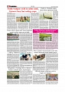Daily Tribunal E-paper 16-05-2026._page-0006