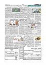 Daily Tribunal E-paper 19-05-2026._page-0005