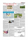 Daily Tribunal E-paper 05-06-2026._page-0007