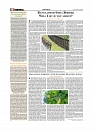 Daily Tribunal E-paper 13-06-2026._page-0004