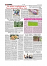 Daily Tribunal E-paper 15-06-2026._page-0006