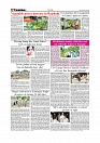 Daily Tribunal E-paper 16-06-2026._page-0006