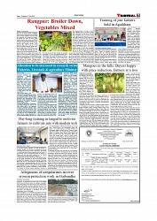 Daily Tribunal E-paper 17-06-2026._page-0007
