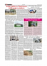 Daily Tribunal E-paper 12-07-2026._page-0006