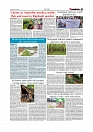 Daily Tribunal E-paper 12-07-2026._page-0007